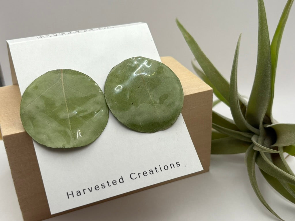 Silver Dollar Circle Studs