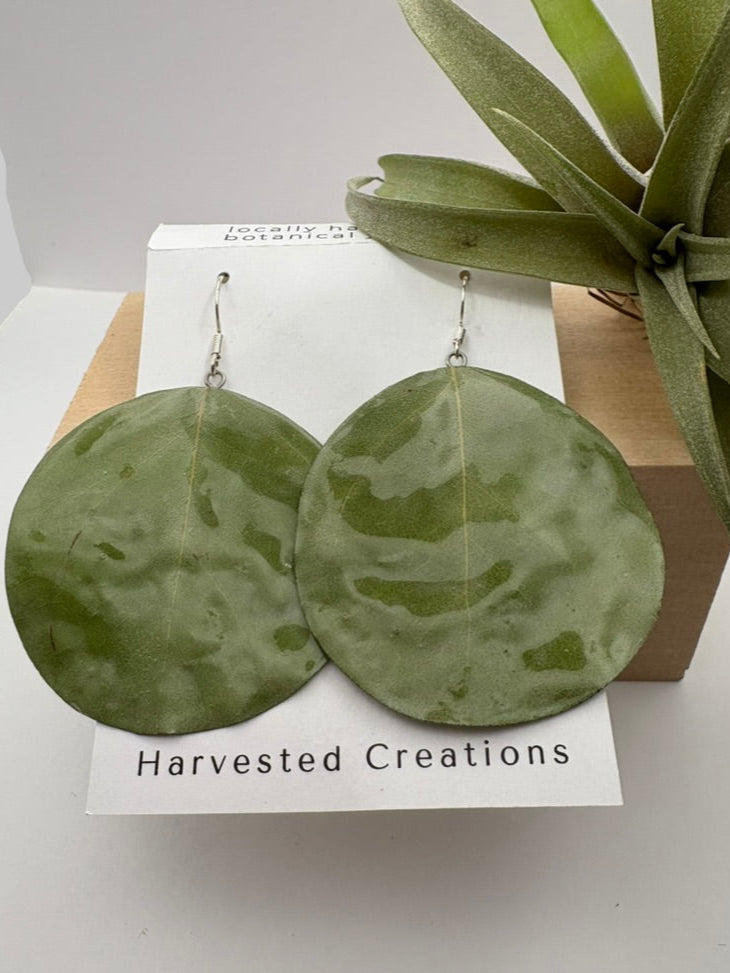 Silver Dollar Gum Circle Drop Earrings