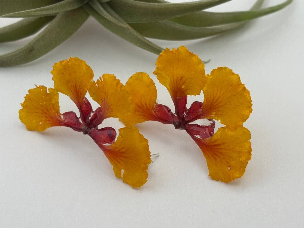 Desert Bird of Paradise - Whole Flower Stud Earrings