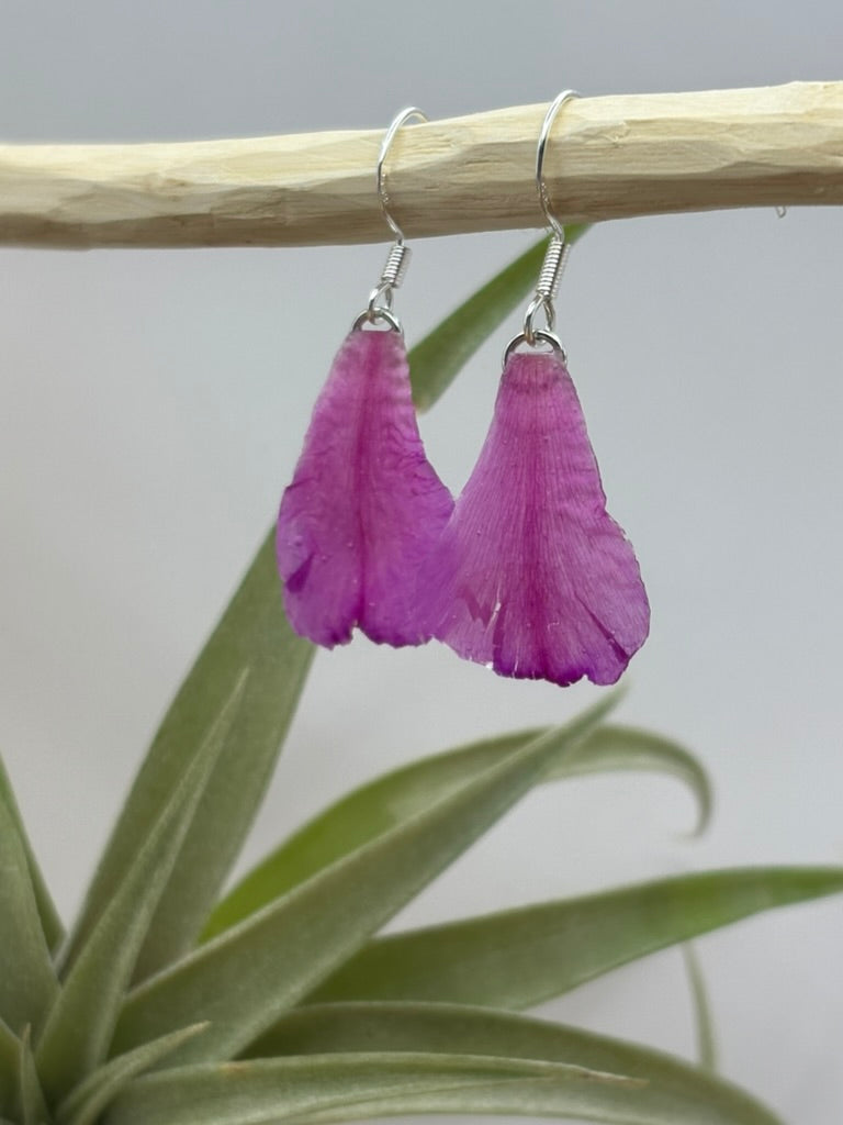 Hot Pink Cholla Petal Earrings