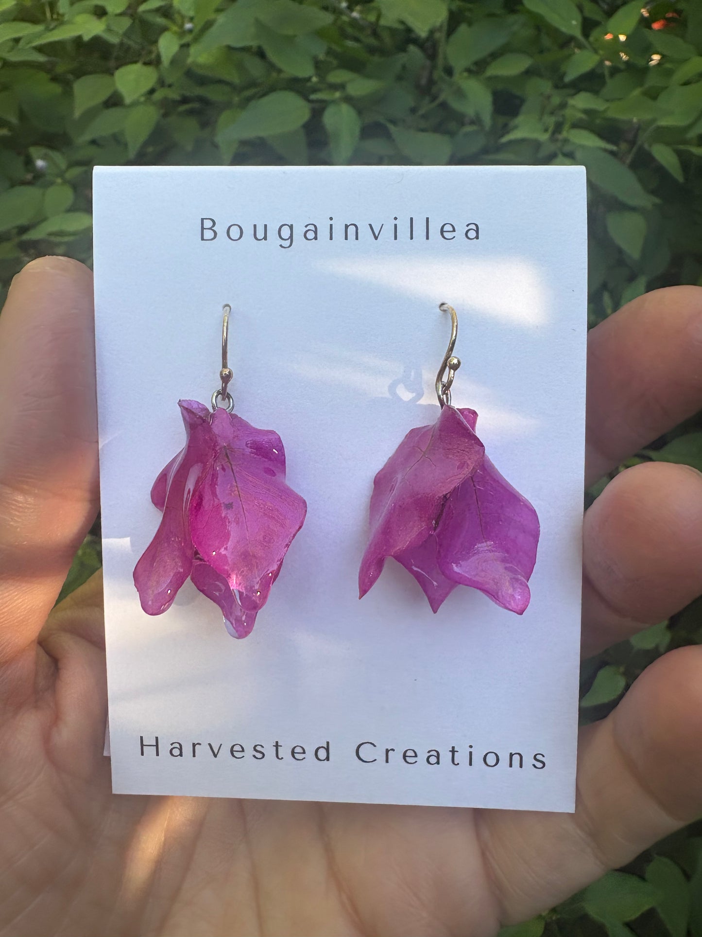 Whole Bougainvillea Flower Drop Earrings