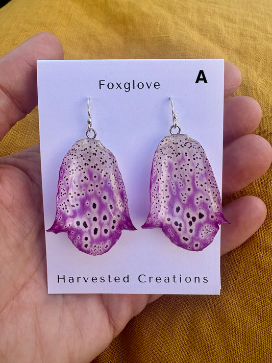 Foxglove