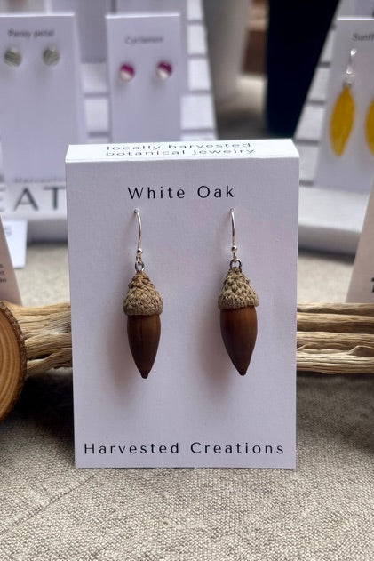 Acorns