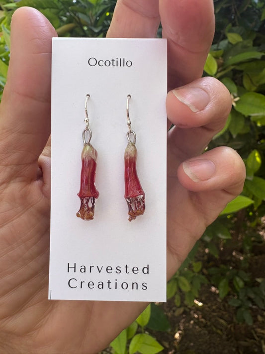 Ocotillo Flower Earrings