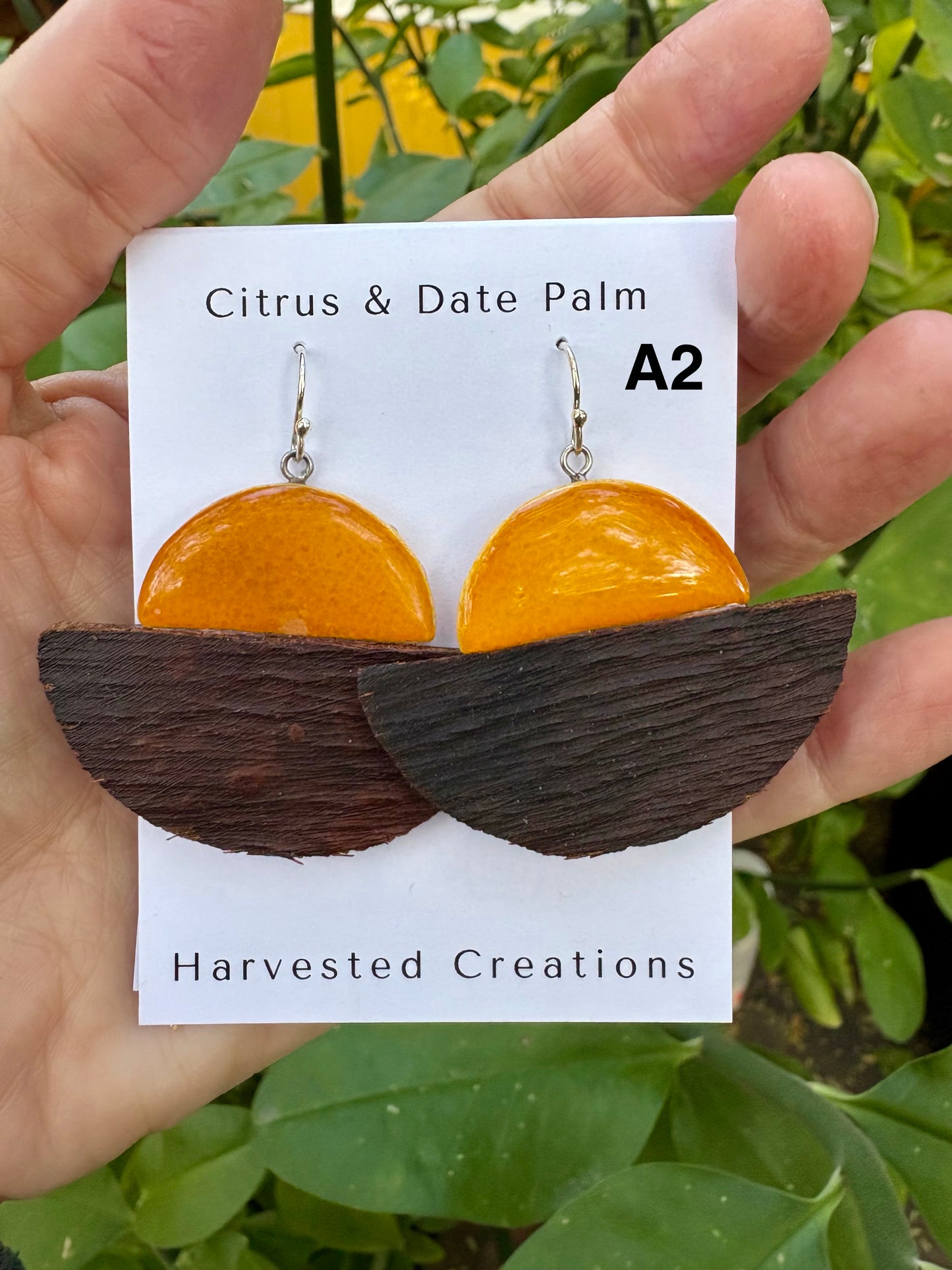 Citrus & Bark