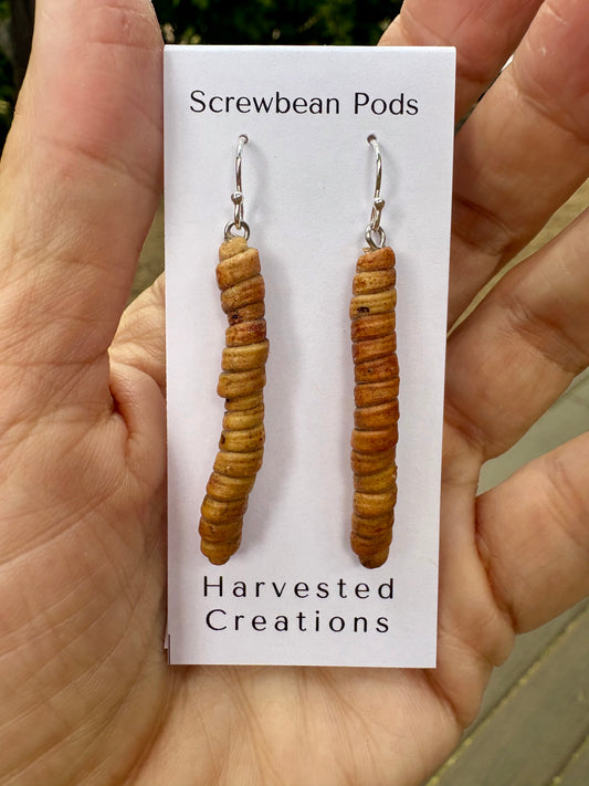 Screwbean Pod Drop Earrings