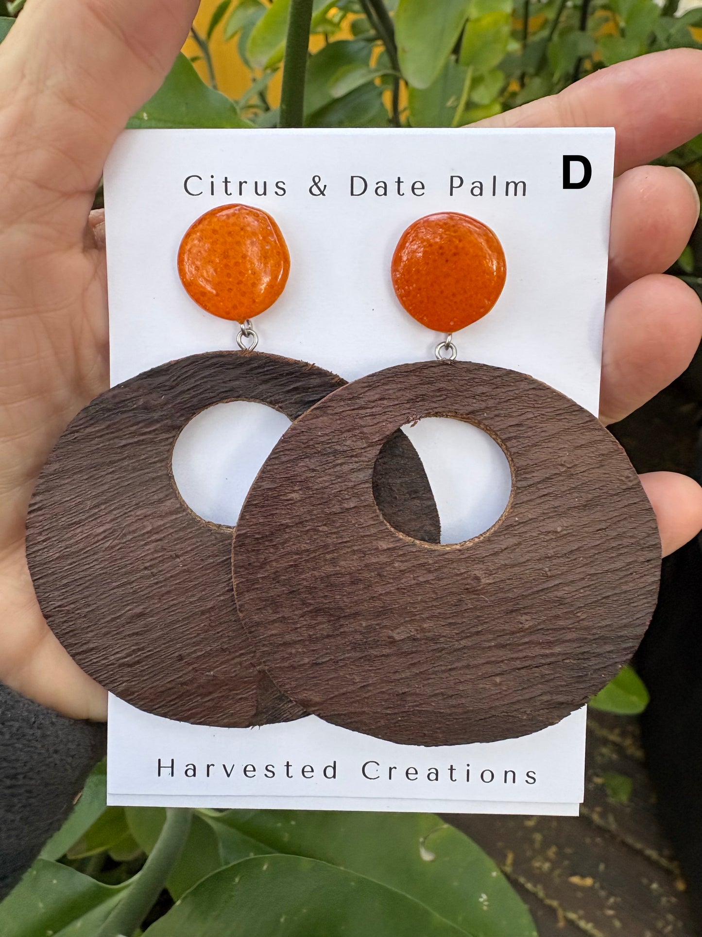 Citrus & Bark