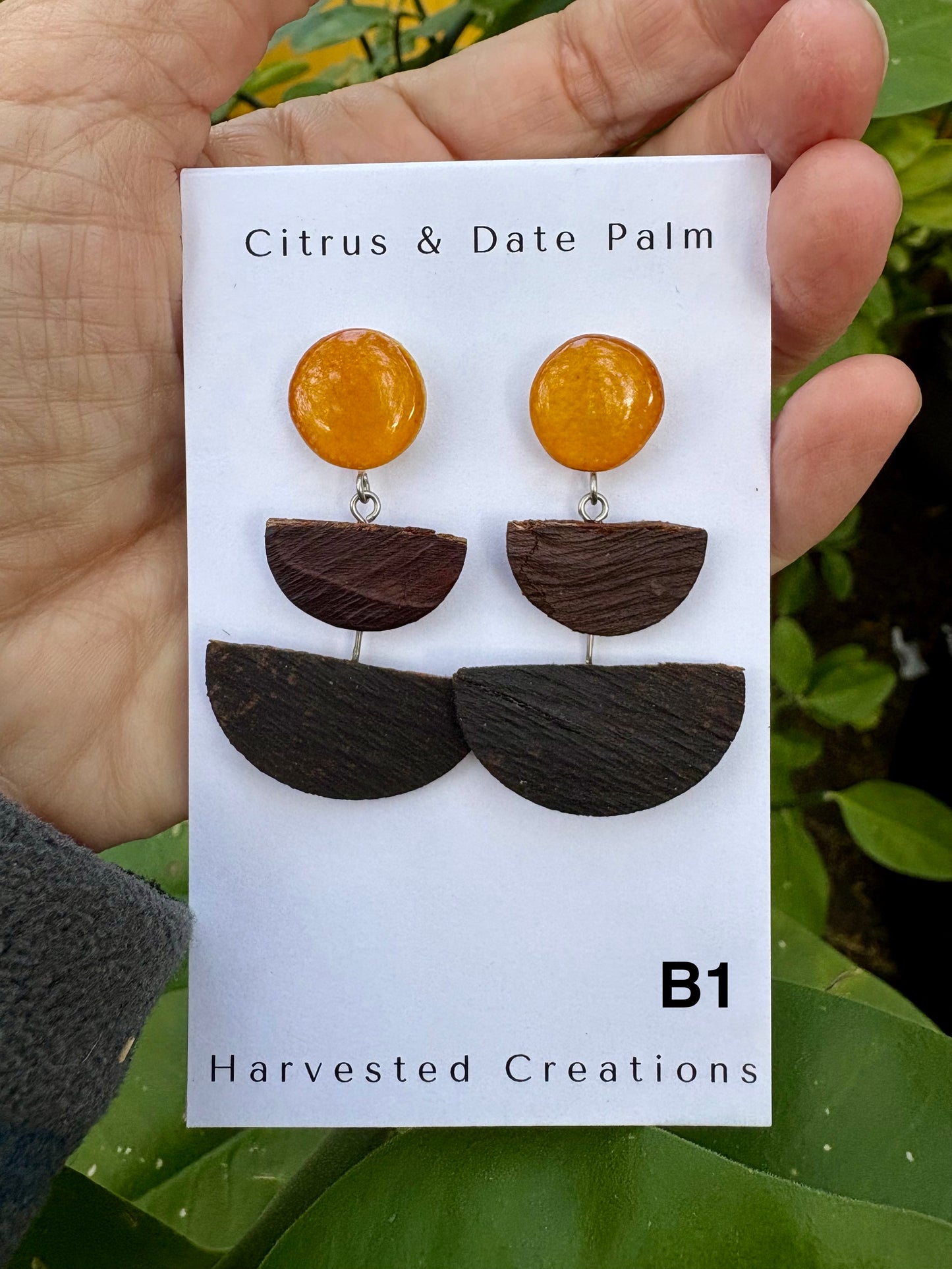 Citrus & Bark