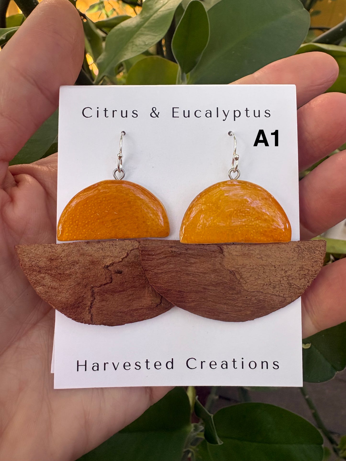 Citrus & Bark