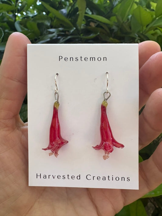 Penstemon Earrings