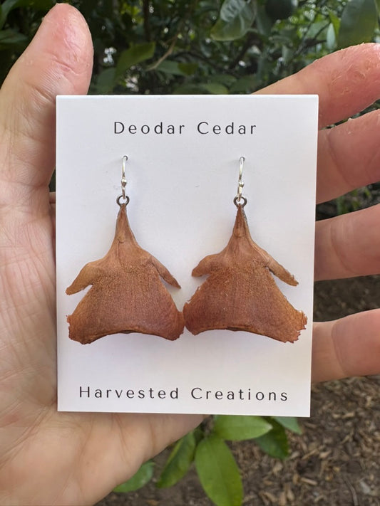 Cedar Rose Scale Drop Earrings