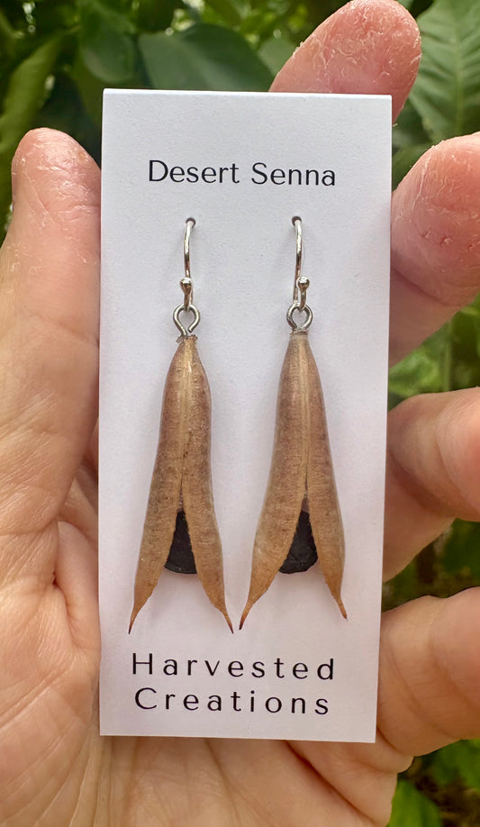 Desert Senna Earrings