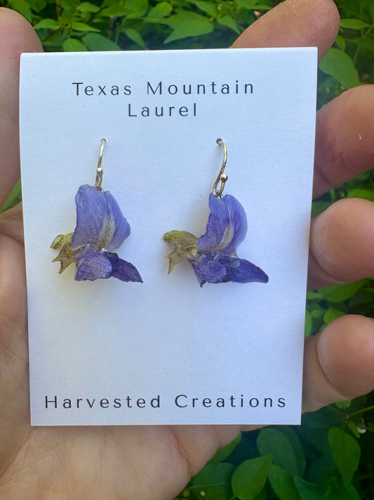 Texas Mountain Laurel Earrings