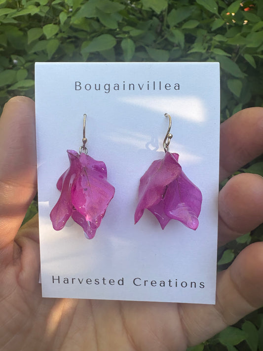 Whole Bougainvillea Flower Drop Earrings