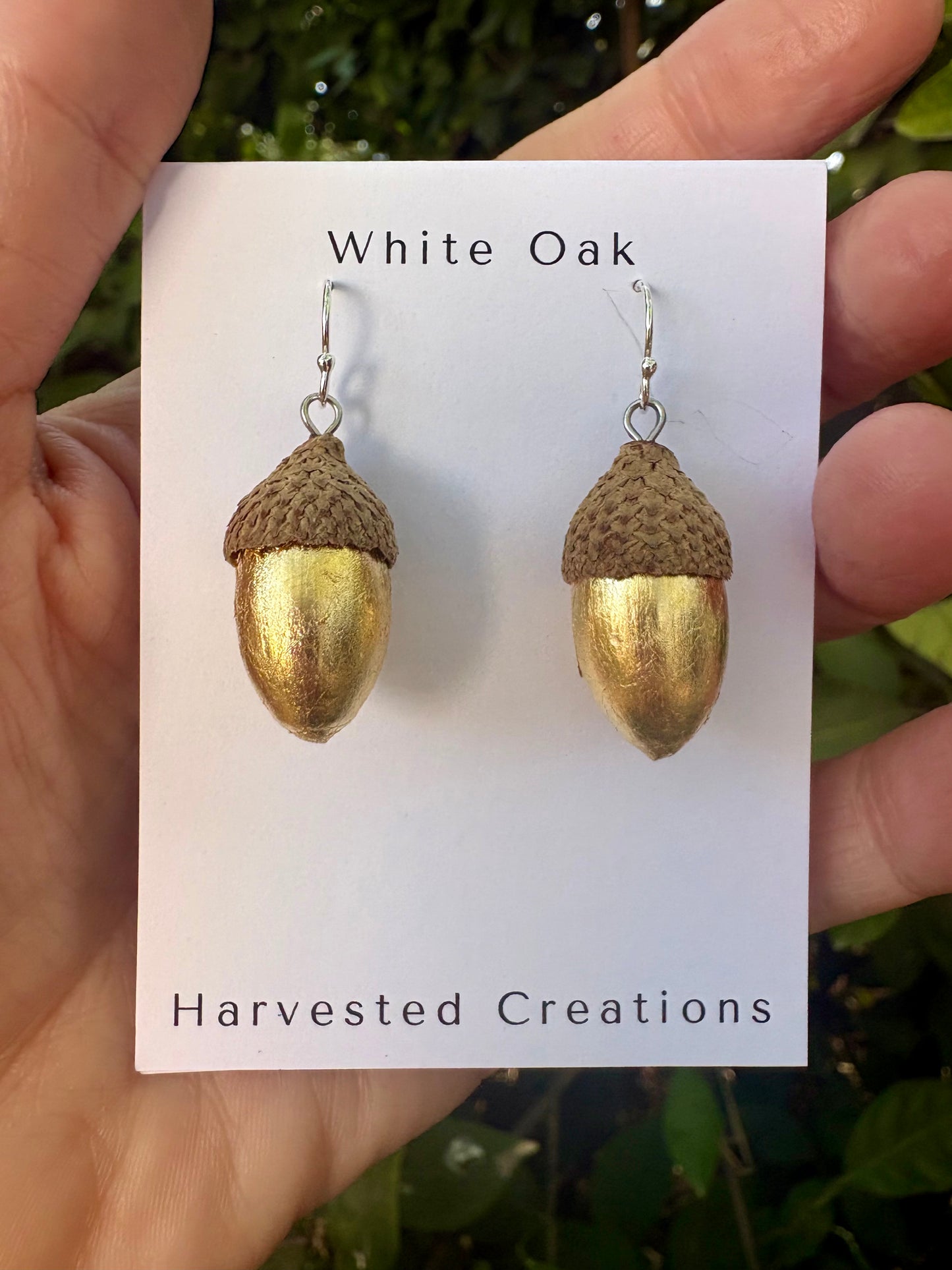 Acorns