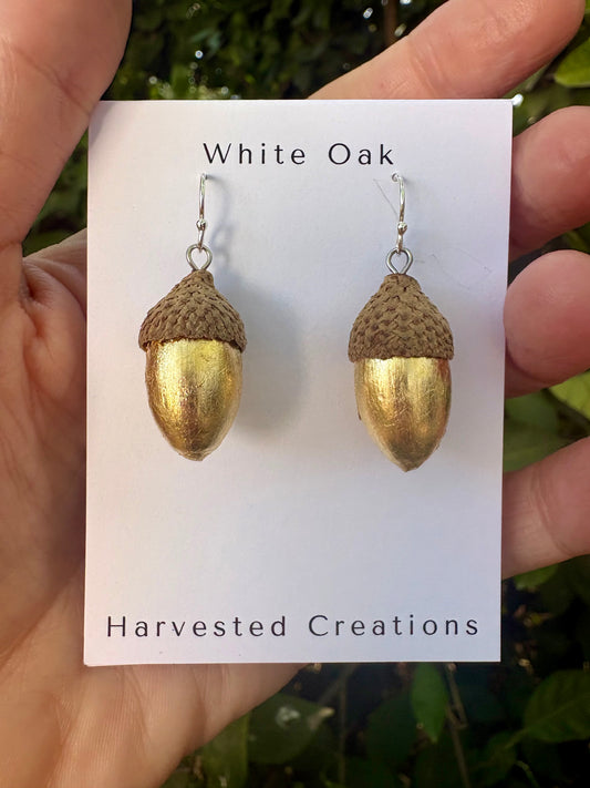 Acorns