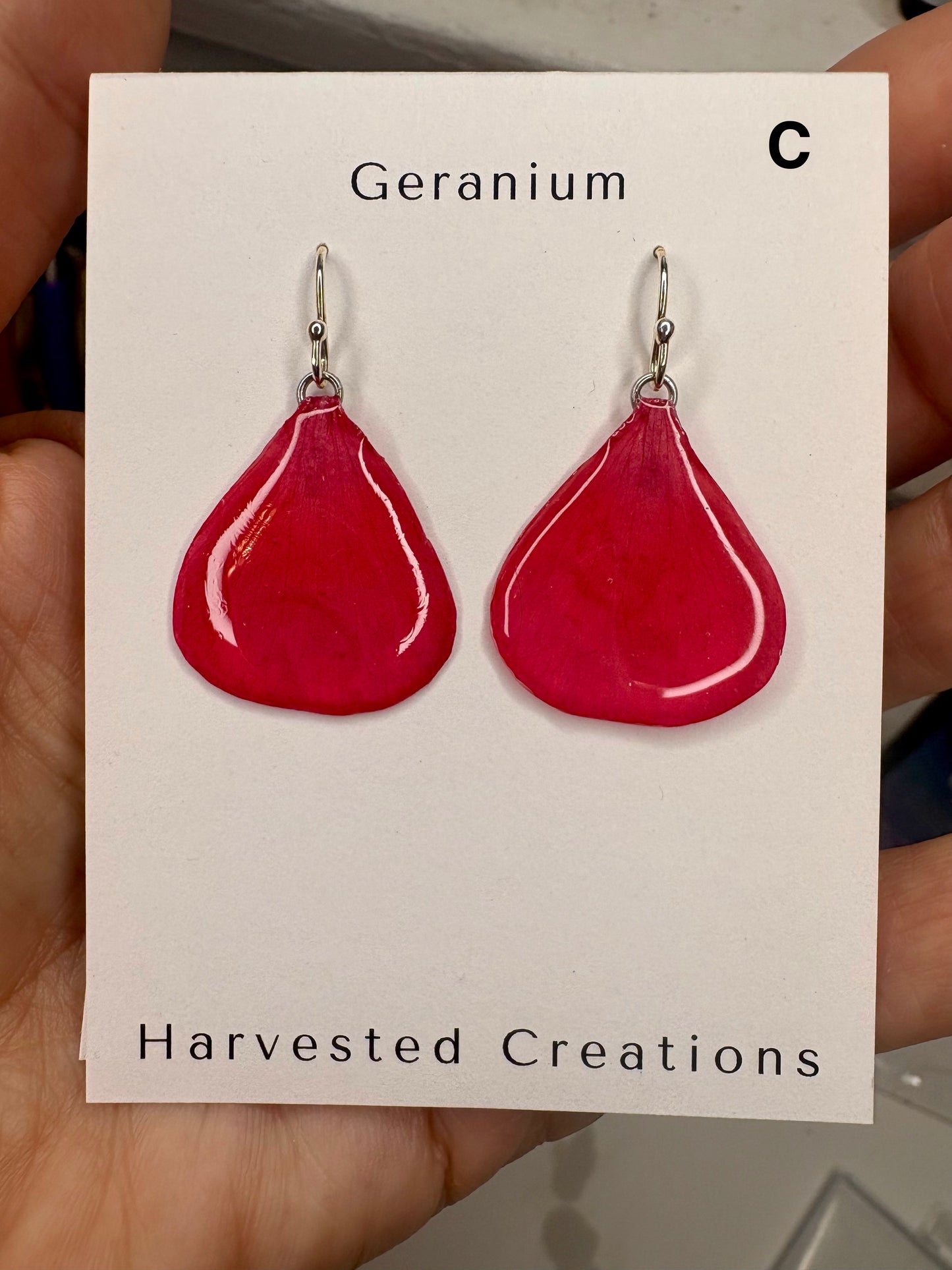 Geranium