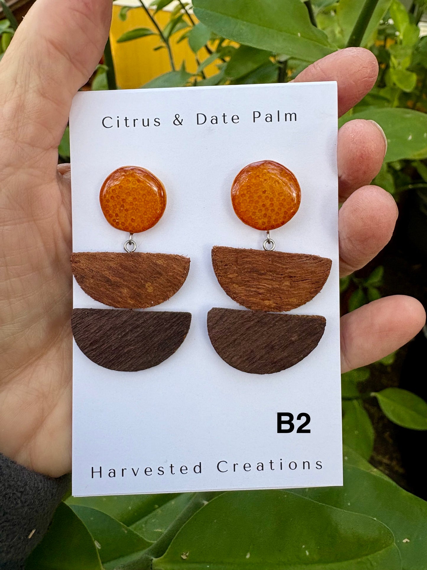 Citrus & Bark