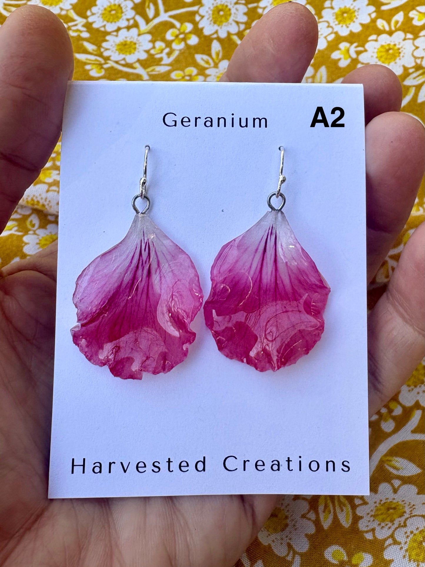 Geranium